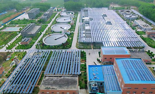 河南唯一入圍國企改革 雙百行動 的市級試點 這家企業是咋做到的