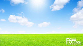 睿容空氣凈化器加盟指南 加盟費、官網、條件流程及政策支持解析